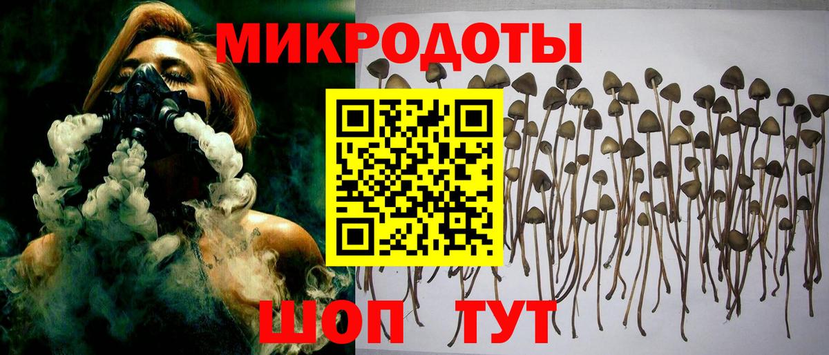 Галлюциногенные грибы Psilocybine cubensis  Вход с VPN  Кандалакша 
